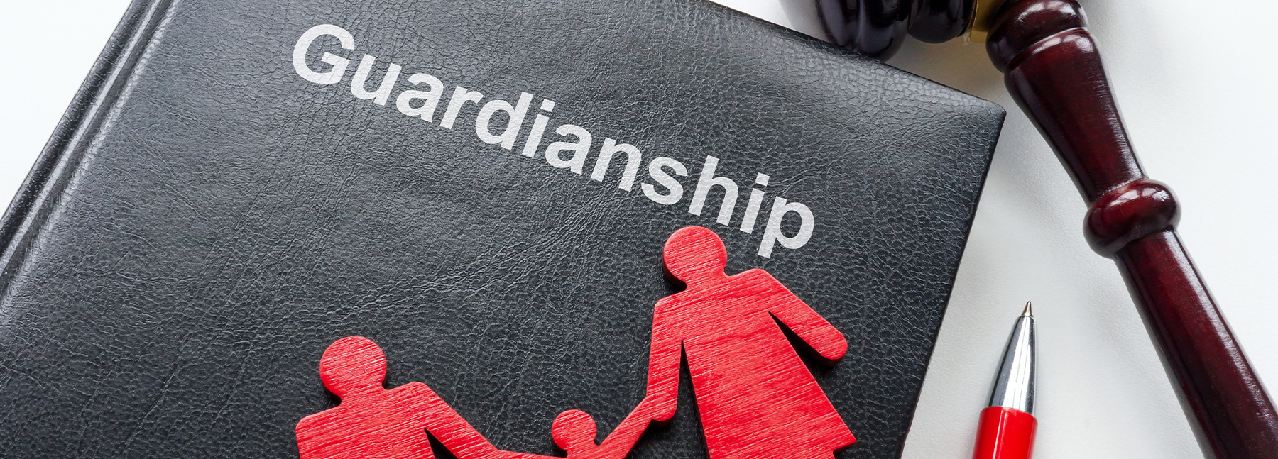 book for Guardianship Attorney